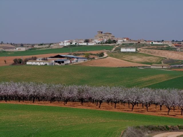View of Pinarejo