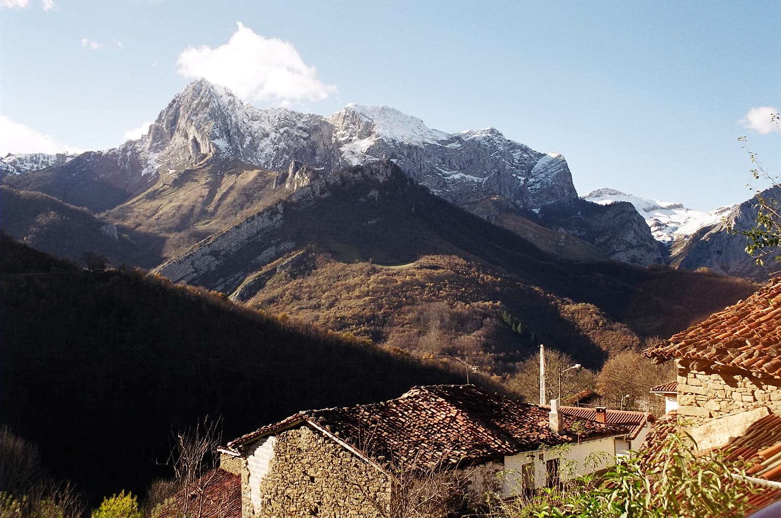 Vista de Ponga