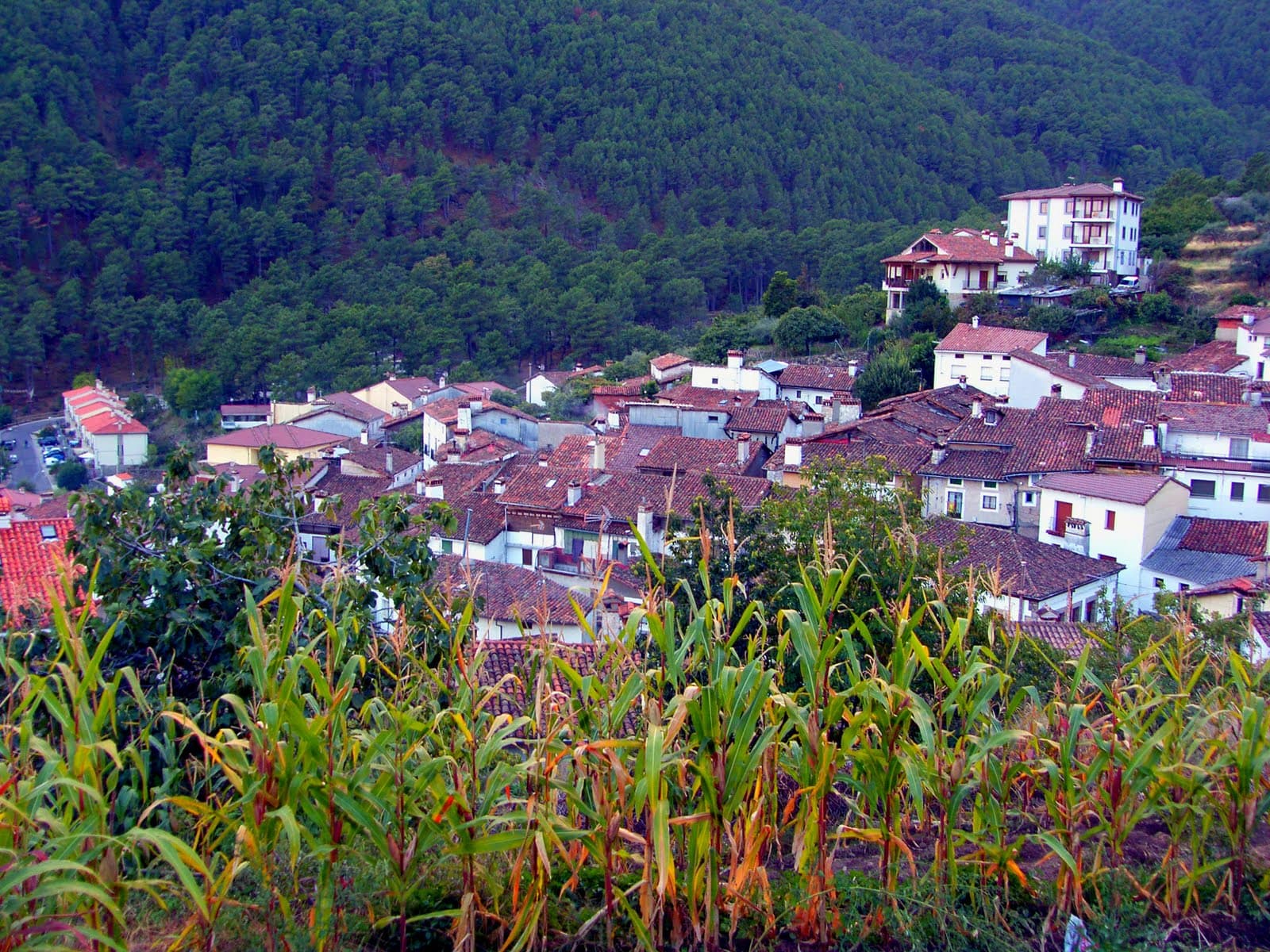 Vue de Guisando