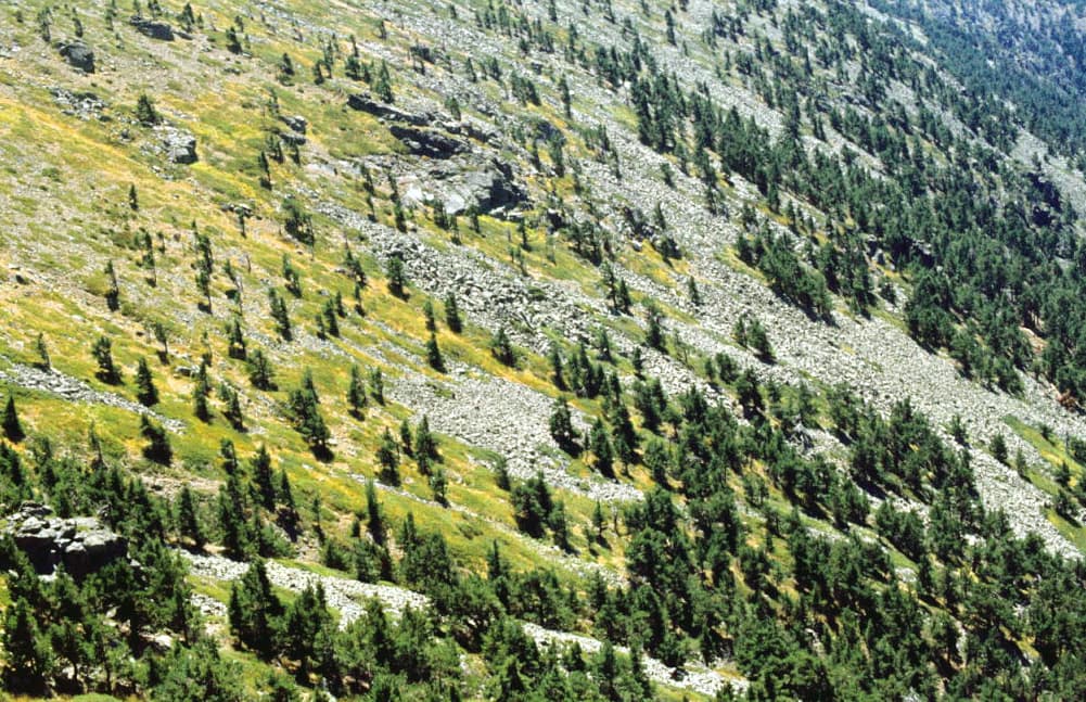 Vista de Aldealengua de Pedraza