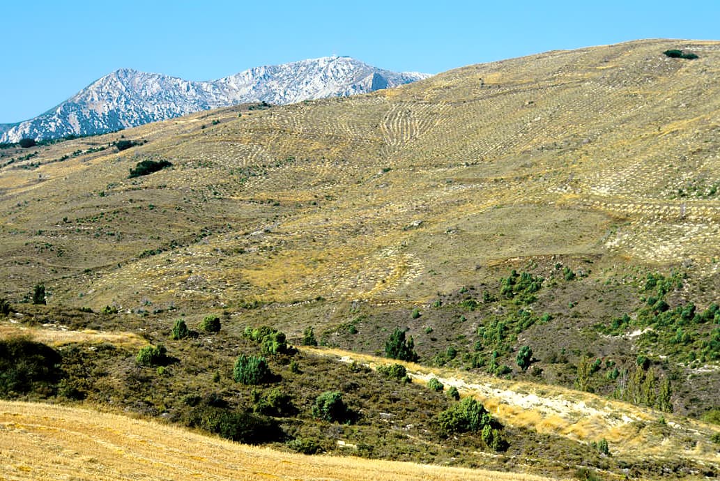 Vista de Aras