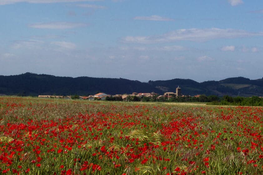 View of Muruzábal