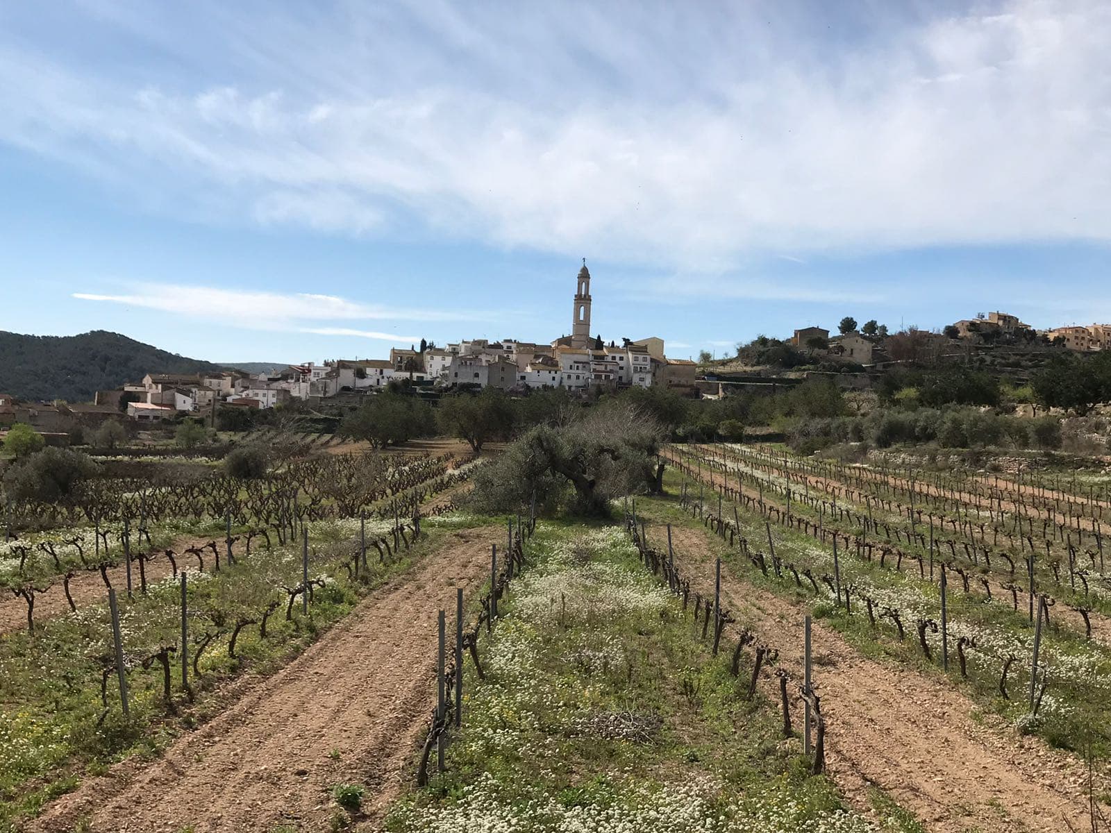 Vue de Albinyana