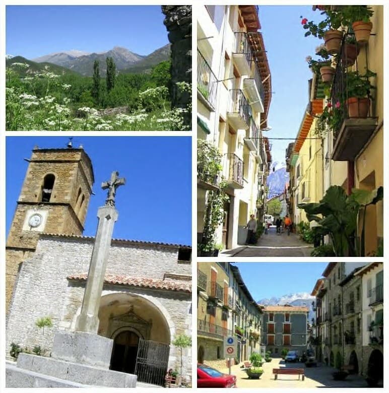 Vista de Campo
