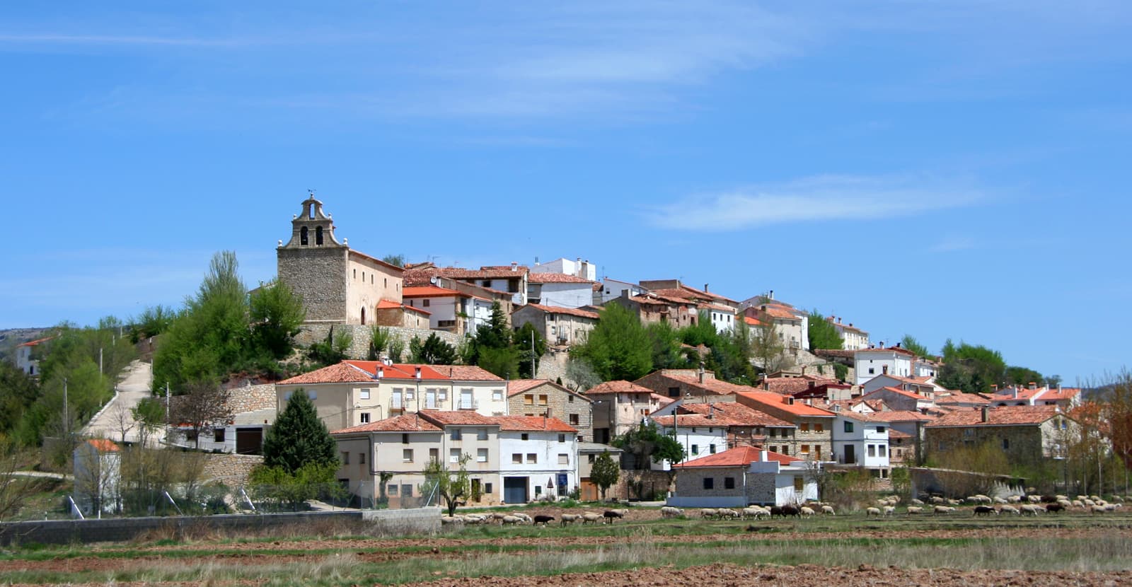 Vista de Salinas del Manzano