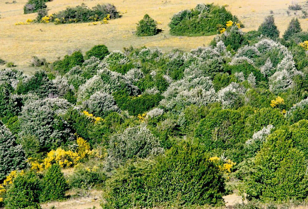 Vista de Oncala