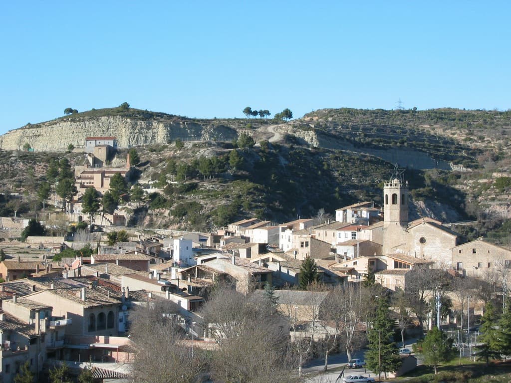 Vista de Copons