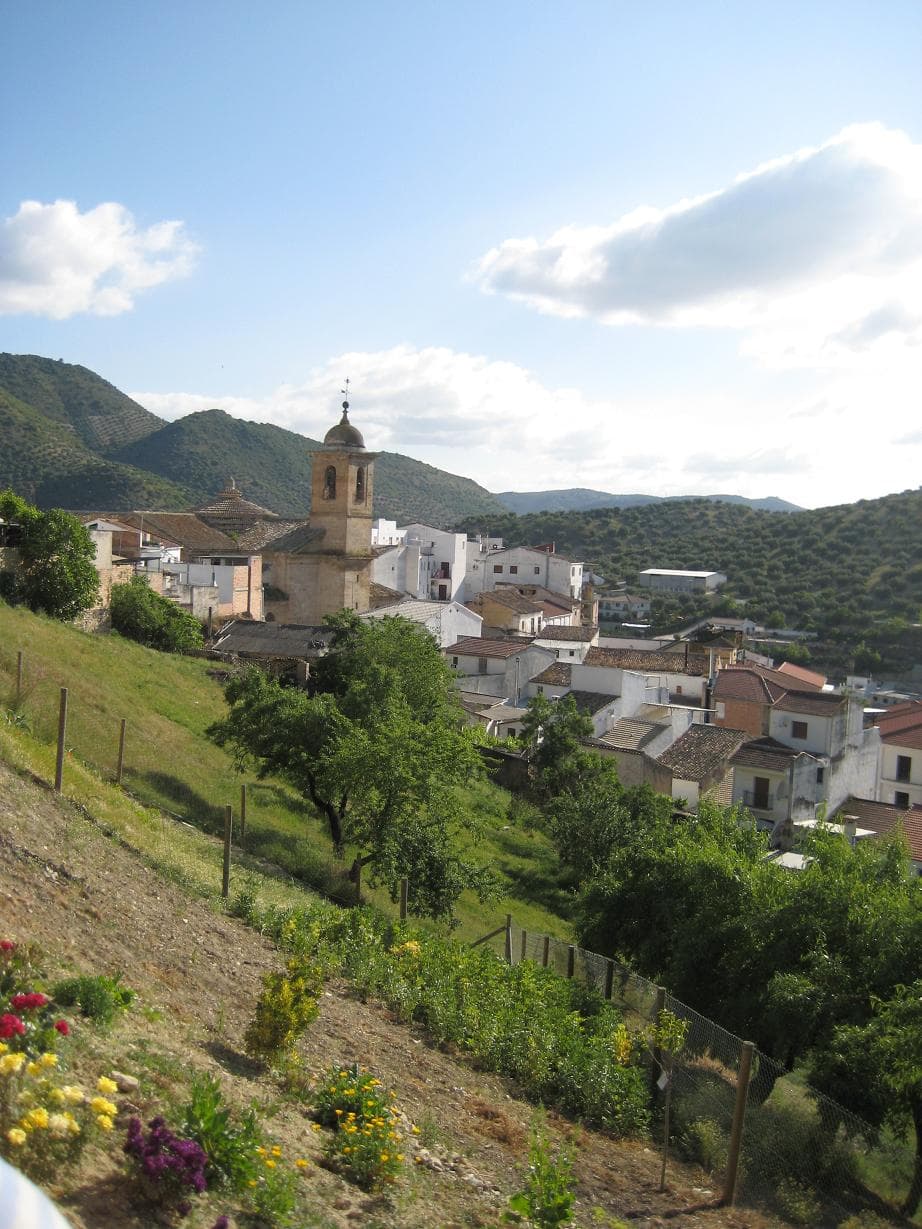 Vista de Algarinejo