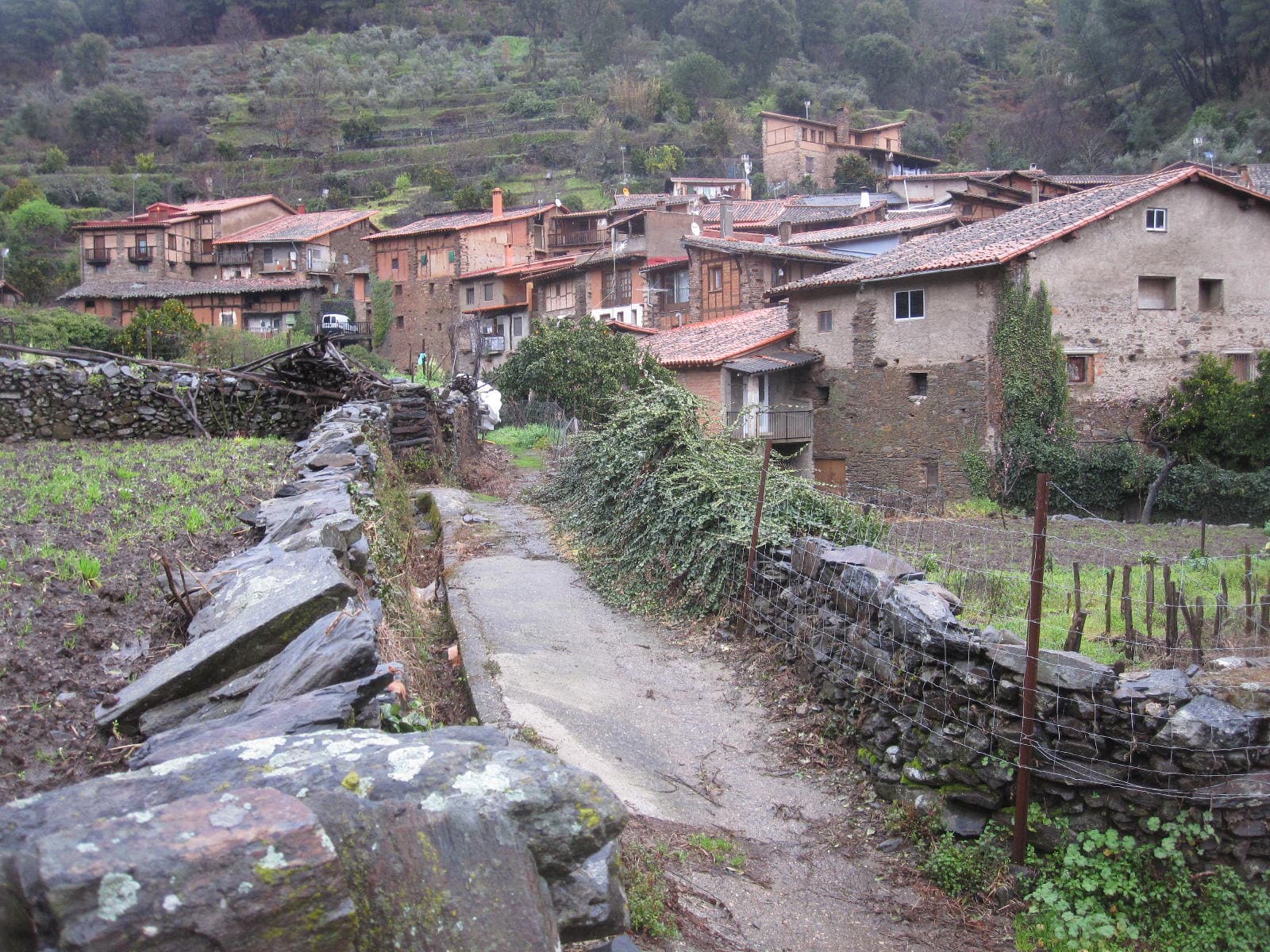 Vista de Robledillo de Gata