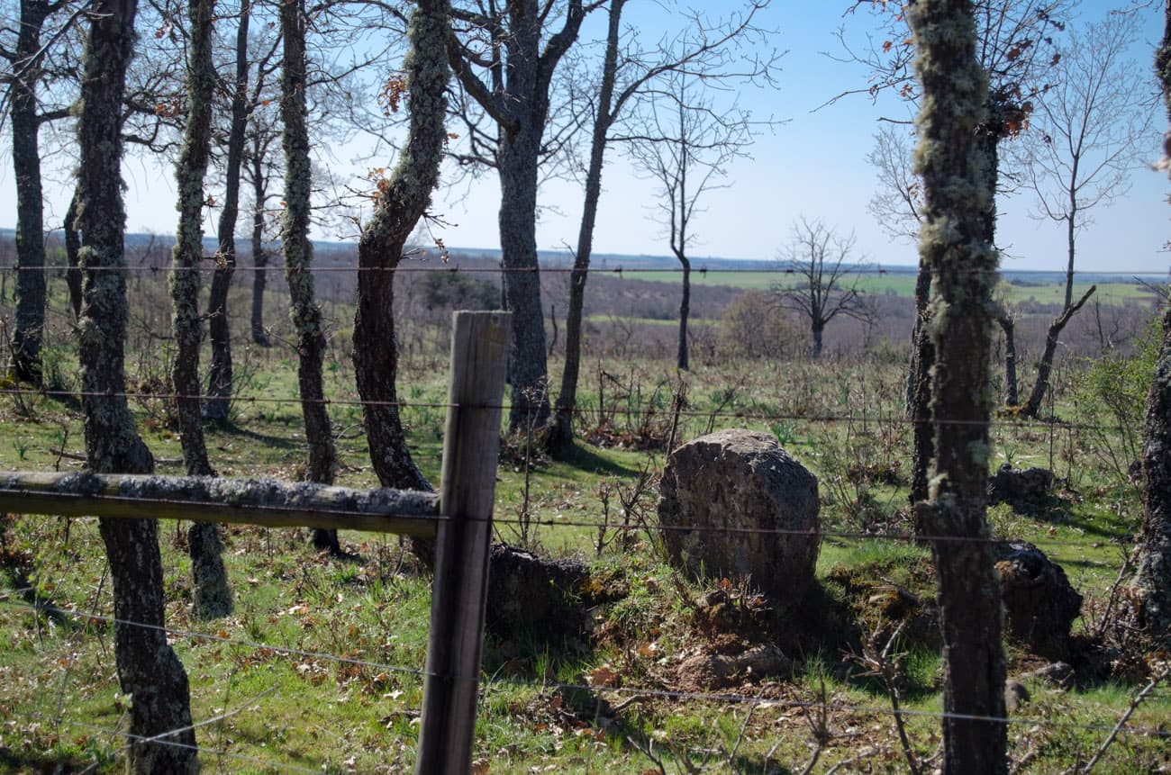 Veduta di Santa María del Monte de Cea