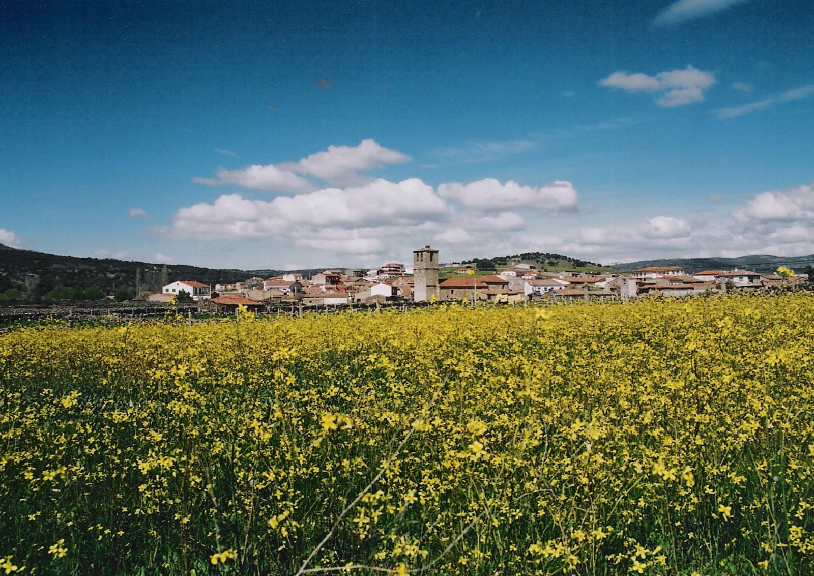 Vista de Malpartida de Corneja