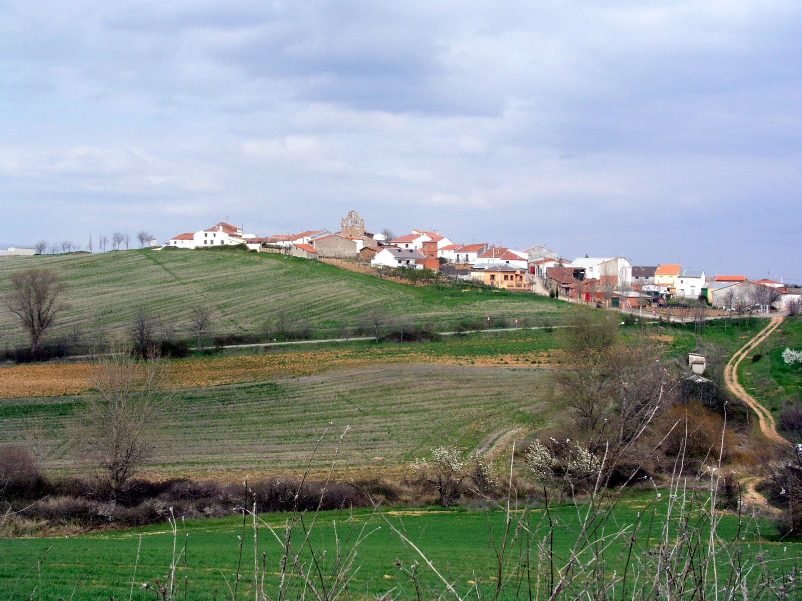 View of Puebla de Beleña