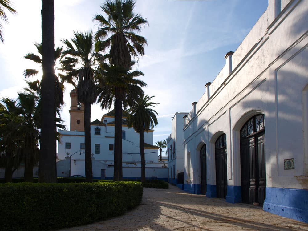 Vista de Villamanrique de la Condesa