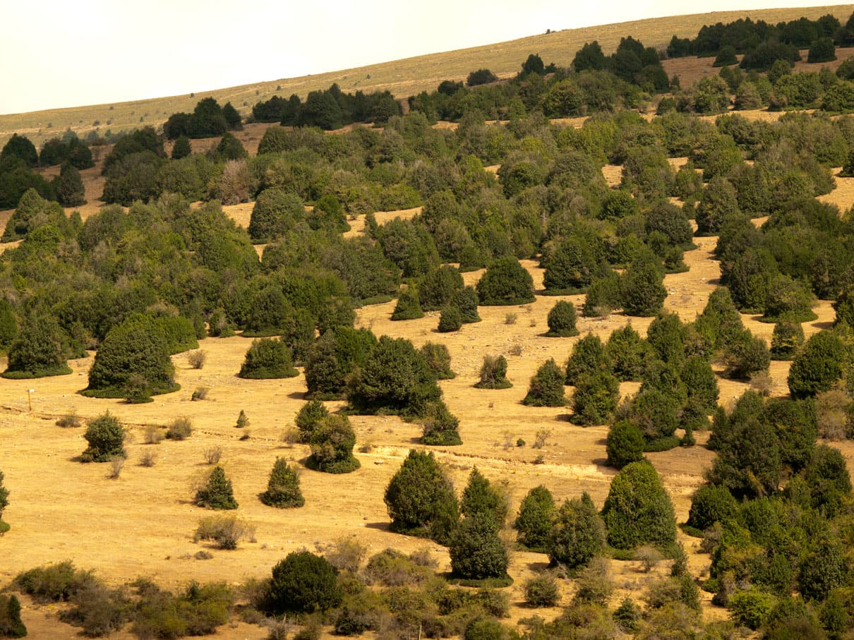 Veduta di Arévalo de la Sierra