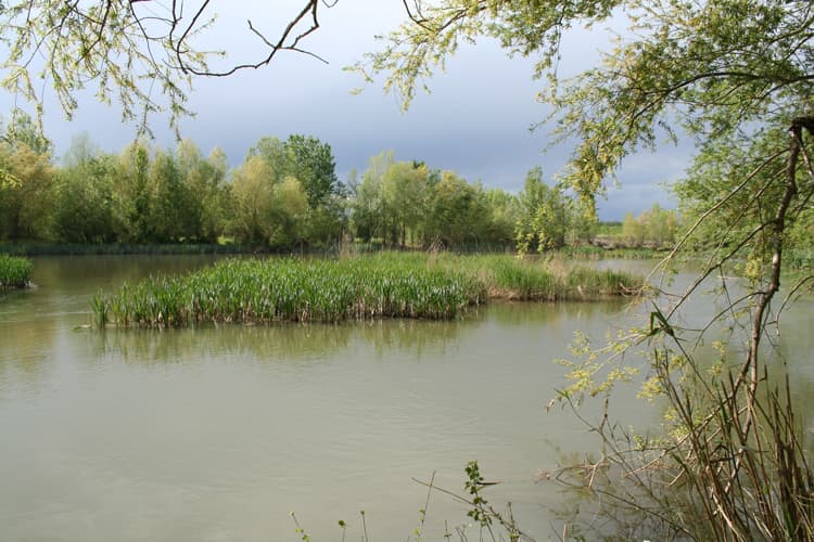 Vista de Vilanova de la Barca