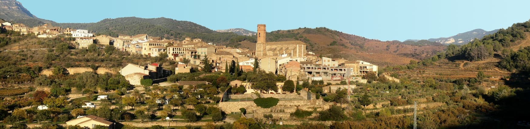 Vista de Poboleda