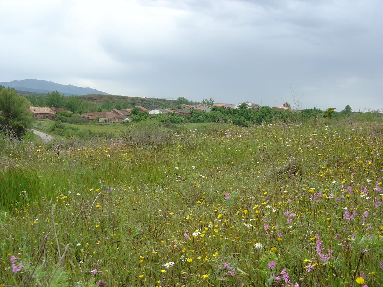 Vista de Ujados
