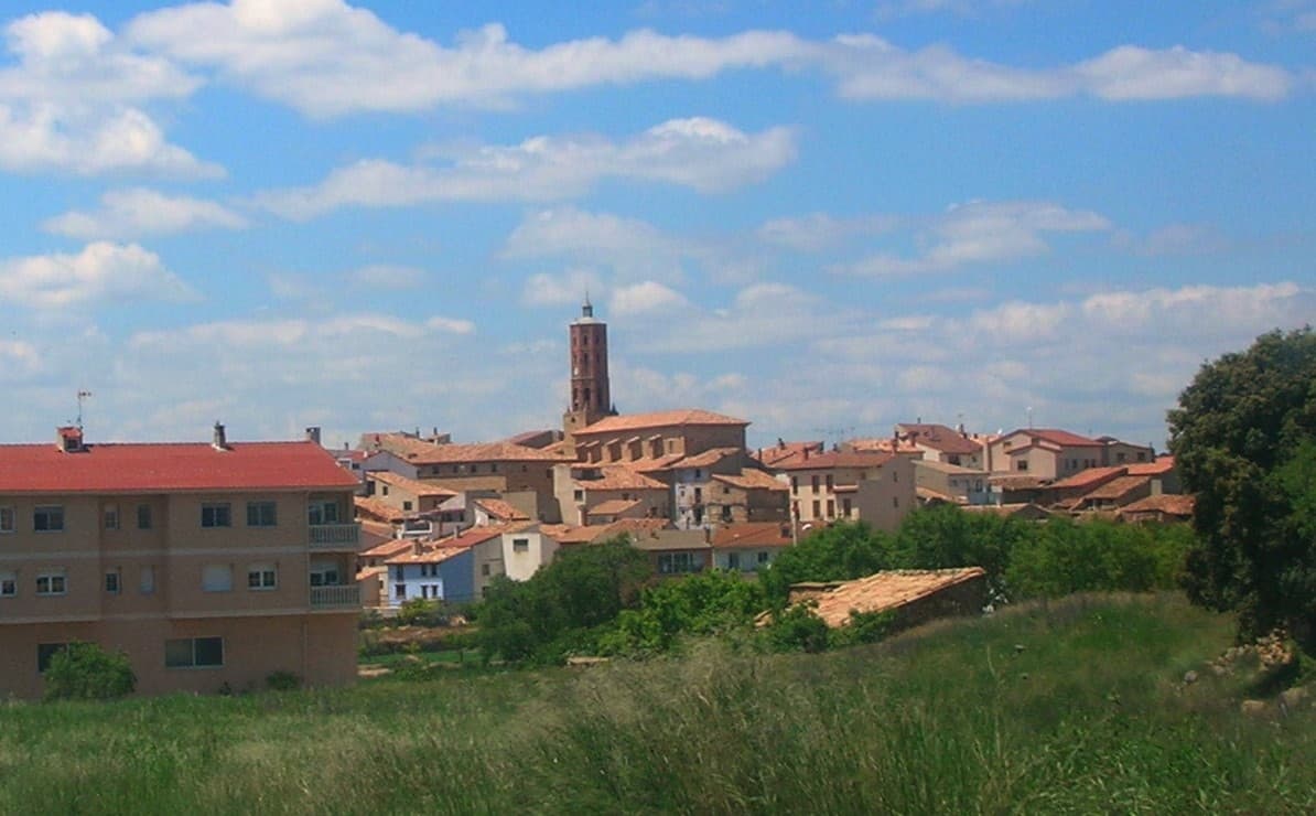 Vista de La Mata de los Olmos