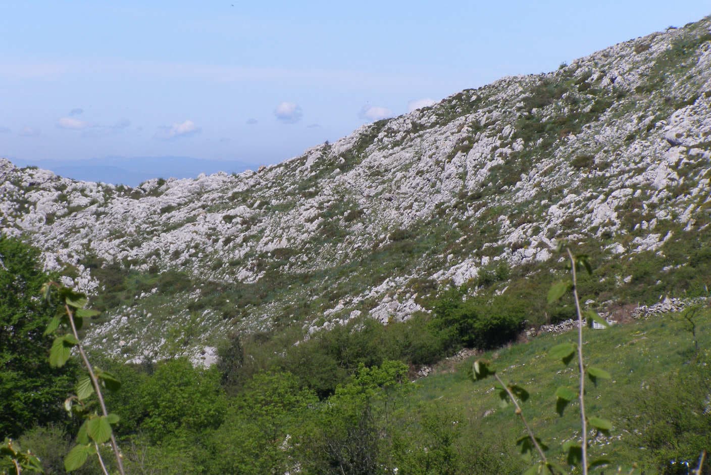 Vista de Bimenes