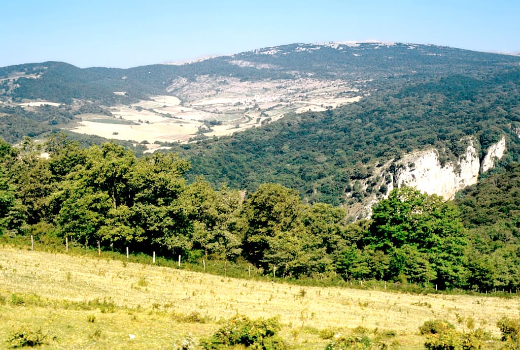 Vista de Goñi