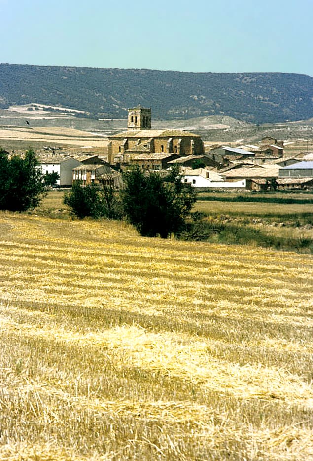 Vista de Almaluez