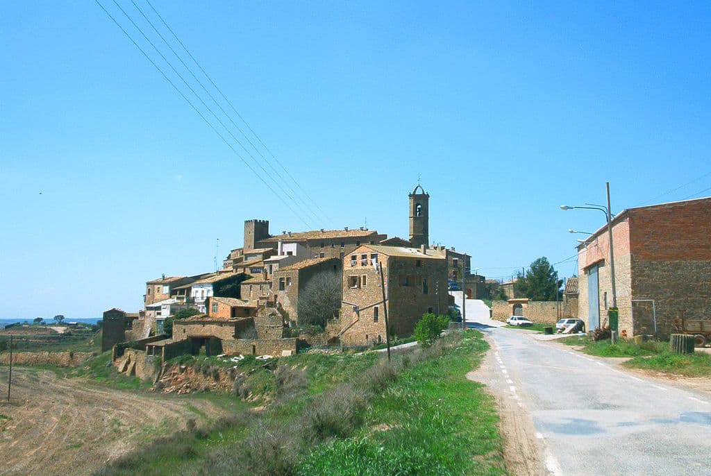 Vista de Torrefeta i Florejacs