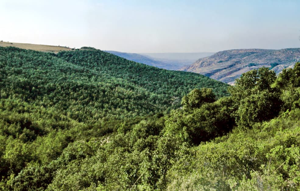 Vue de Pezuela de las Torres