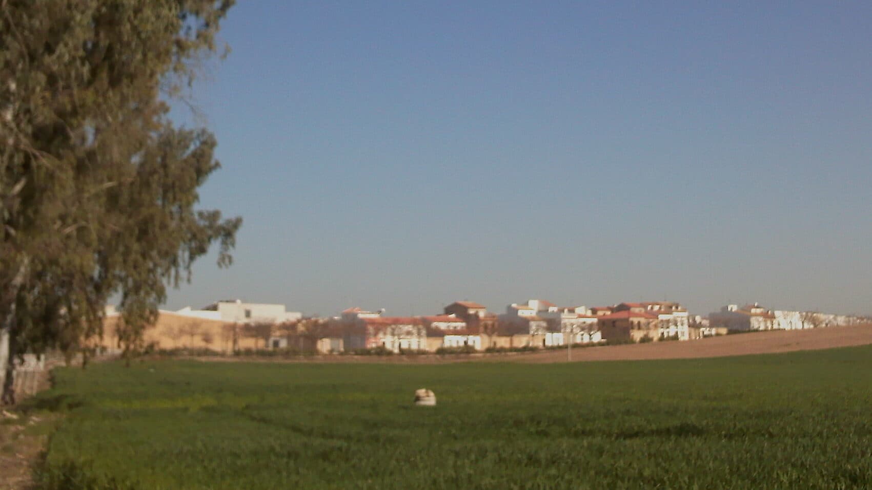 Veduta di El Rubio
