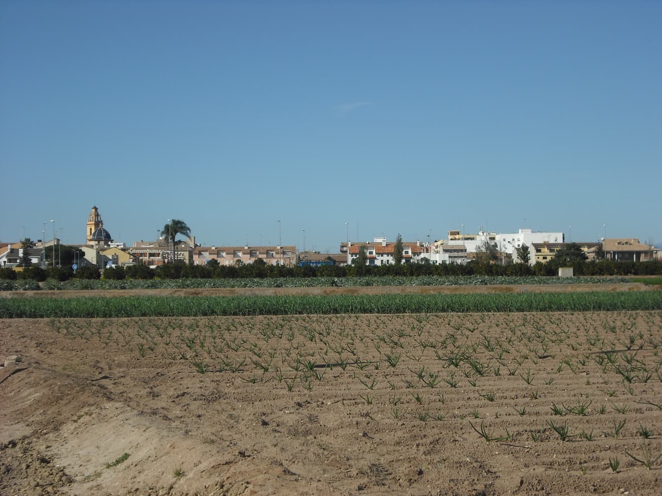 Vista de Albalat dels Sorells