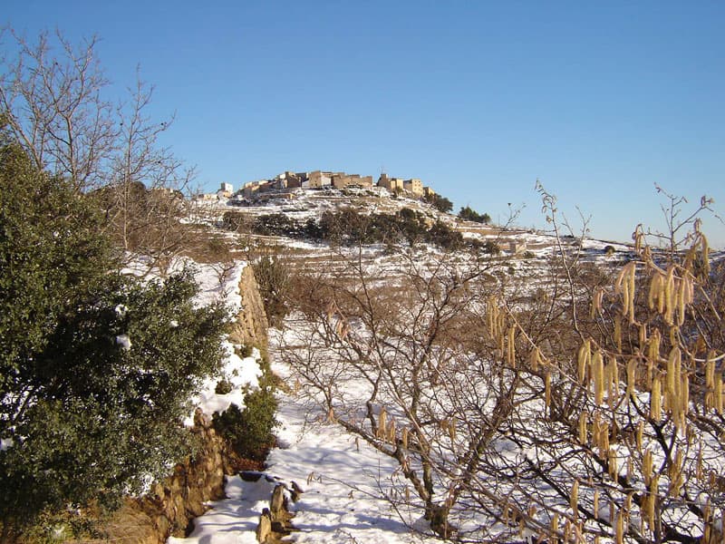 Vista de Benafigos